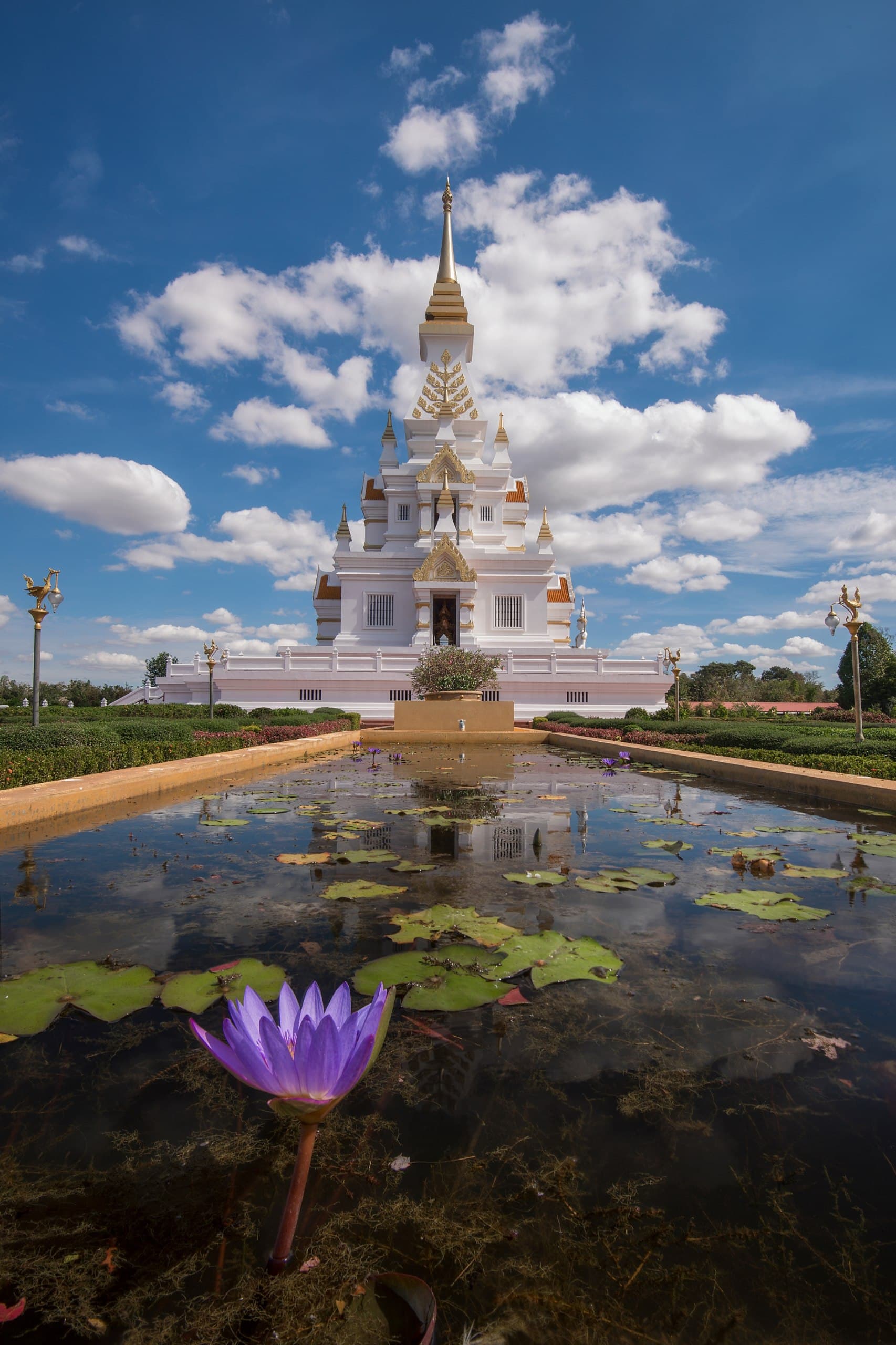 Wat Pa Sri Khunaram: Serene Forest Sanctuary